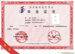 網絡教育前景廣闊，嘉渡教育咨詢上海ebdoor啟航發展新篇章